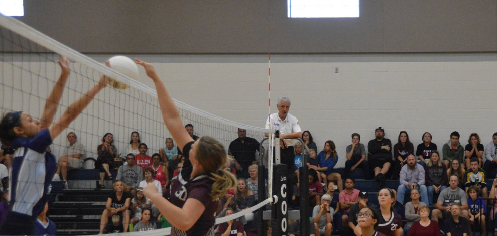Volleyball