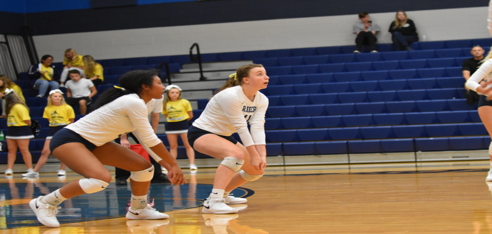 Volleyball